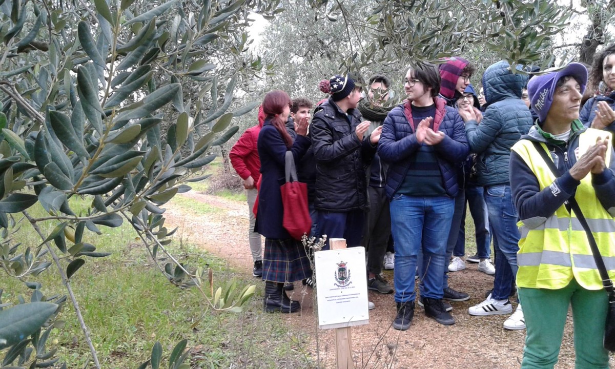 benebitonto